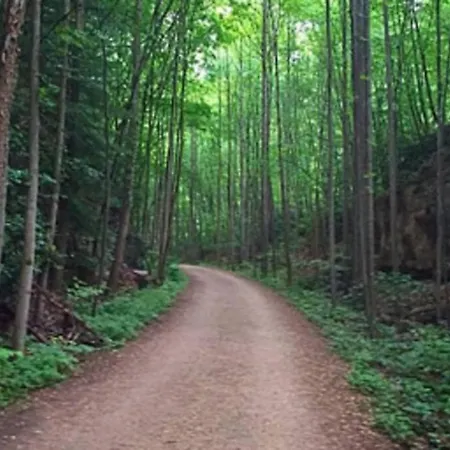 Stay In Ohiopyle Near The Gap Trail - Ohiopyle, Pa Exterior foto