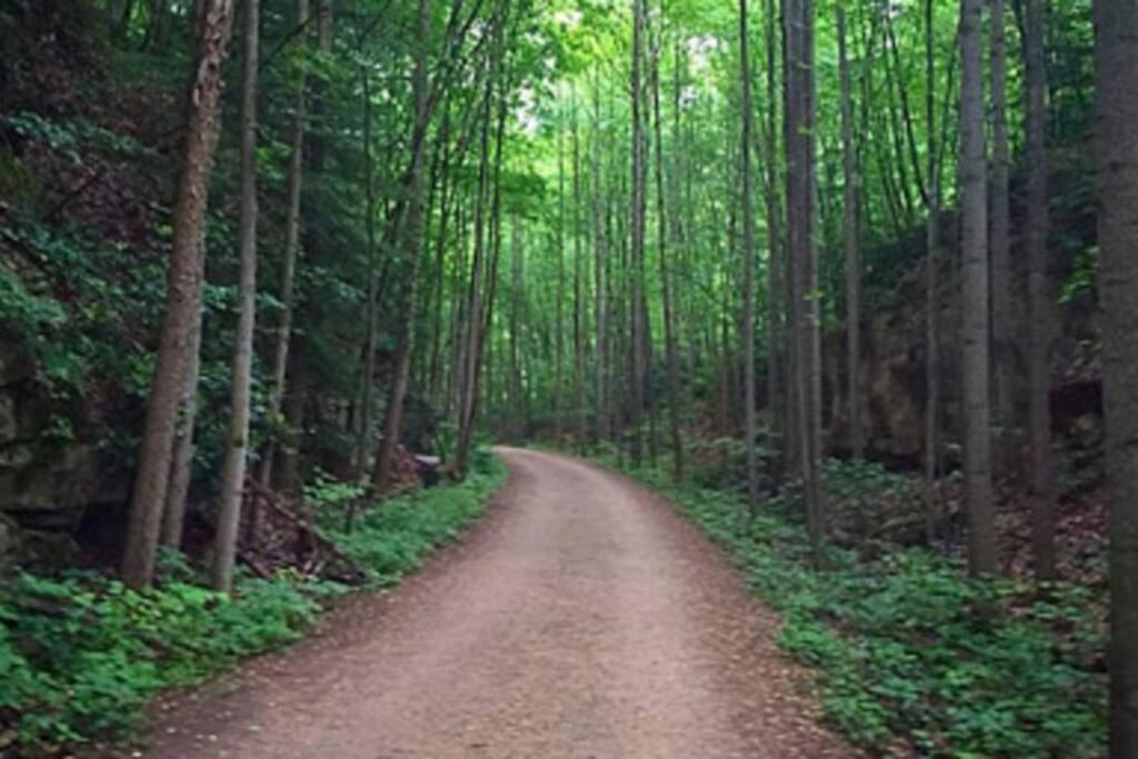 In Near The Gap Trail - Ohiopyle, Pa Ohiopyle