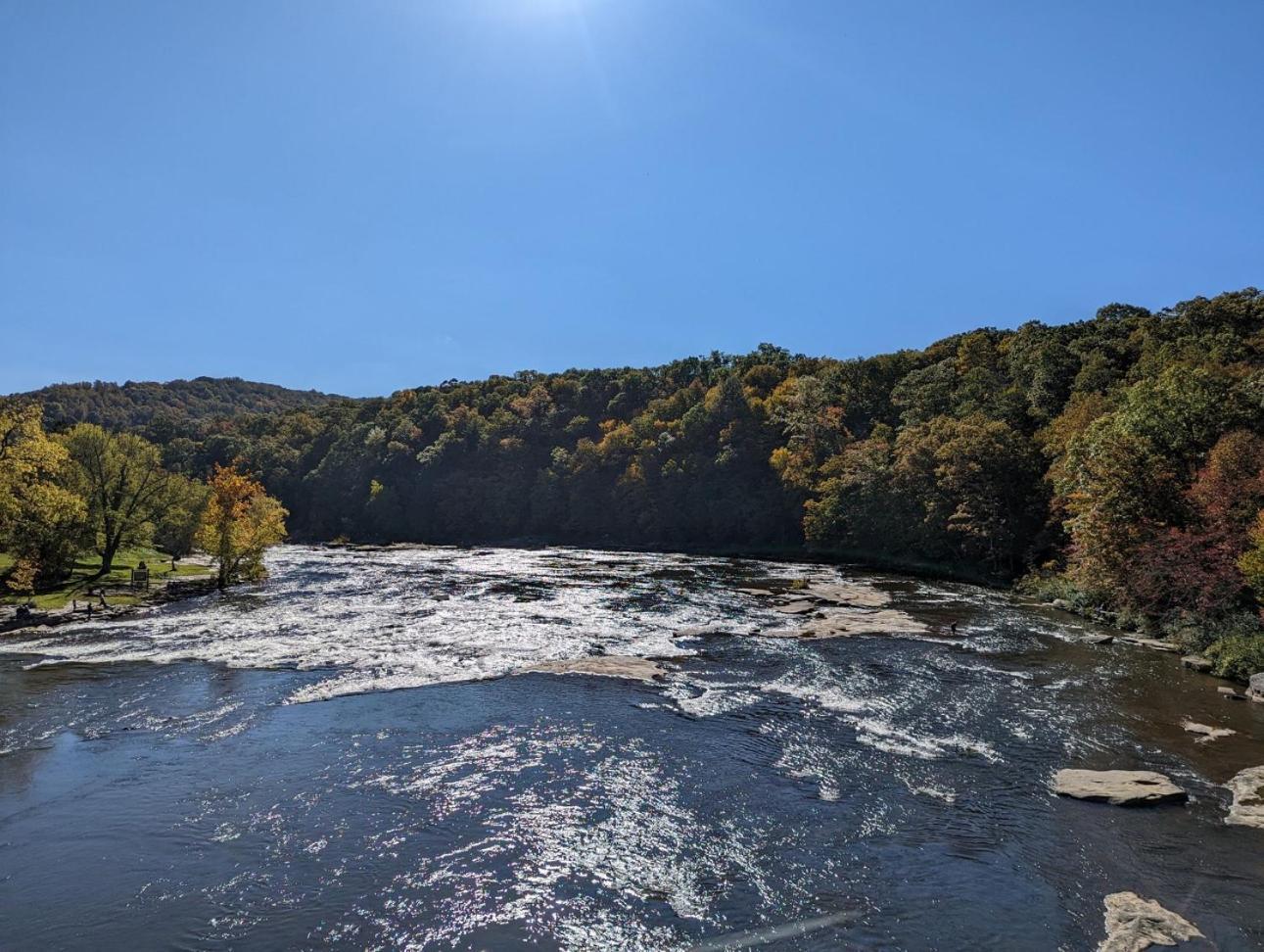 In Near The Gap Trail - Ohiopyle, Pa